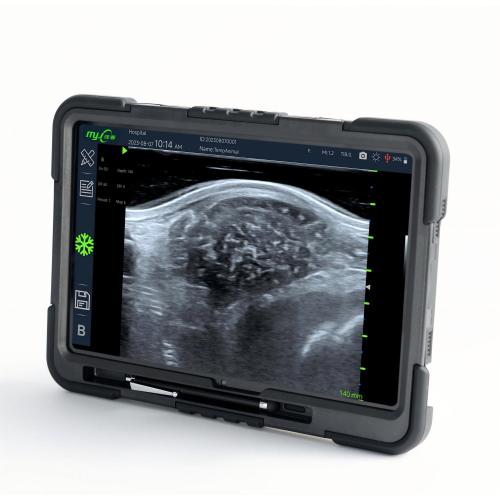 FastScan Bio How to use an ultrasound machine for pigs