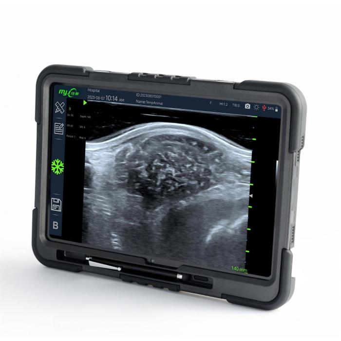 FastScan Bio How to use an ultrasound machine for pigs
