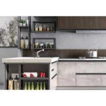 Affordable Modern Designs Kitchen Cabinets