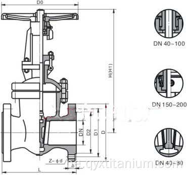 Кастынг тытана VT1-0 GR2 GR12 Затвор клапан