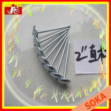 Chinese wholesale factory of umbrella head roofing nail