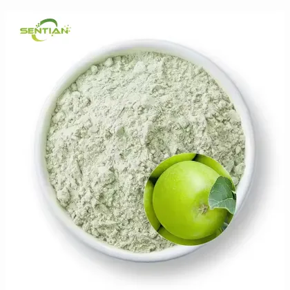 High-quality food-grade green apple powder