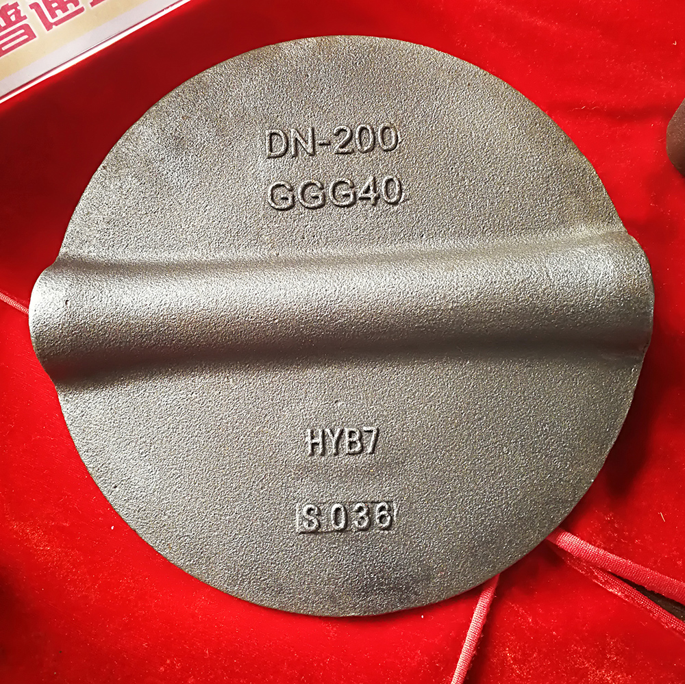GGG40 Valve disc