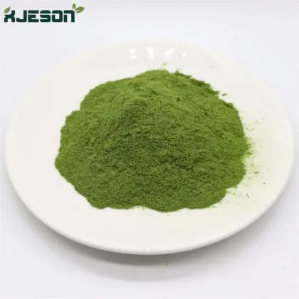 lose weight cassia angustifolia seed extract powder