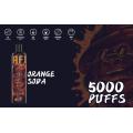 Vape Bar Europe Max Capacité 5000puffs Disposable Onlyrelx