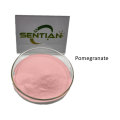 /msite/products/detail/productid/68262335/id/1521433.html