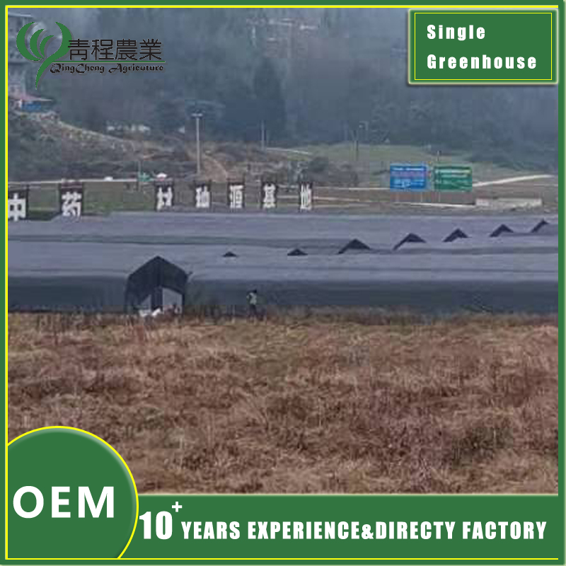 Black Single Span Greenhouse for Efficient Farming