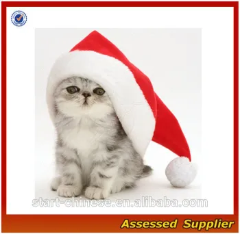 ZD538 santa claus hat/ christmas hat wholesale