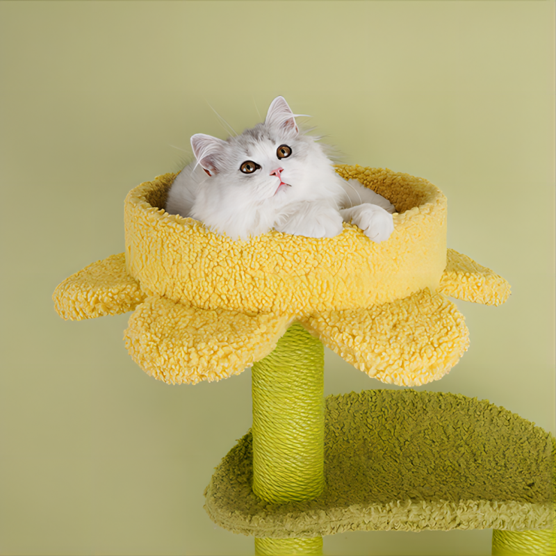 Cat Climbing Toy