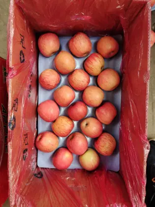 Qia Xia Paper Bagged Fuji Apples