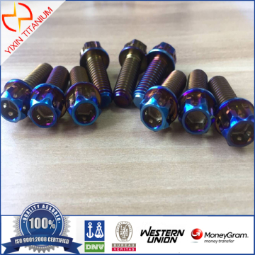 Ti6Al4V Flange Bolt