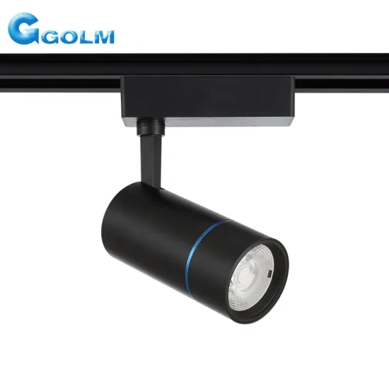 30W High Power COB Dimmable 220V Track Lighting System