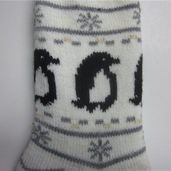 Slipper Socks (1)