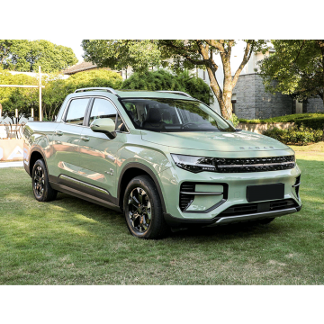 Geely Radar RD6: New Energy 4-Wheel Pure Electric Pickup