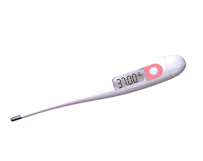 Pen-Type Digital Thermometer Dt-12