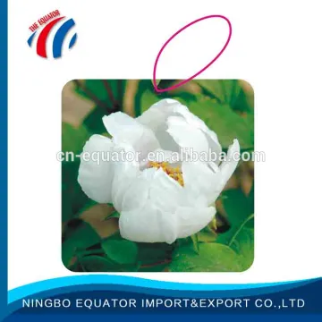 Wholesale 1.6mm car air fresheners bulk
