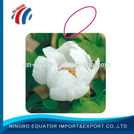 Wholesale 1.6mm car air fresheners bulk