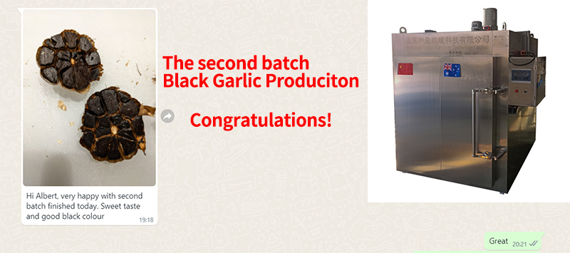 black garlic production