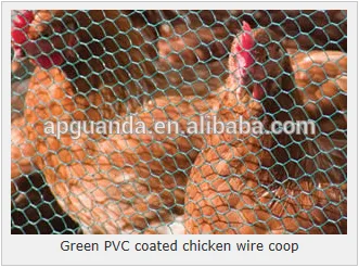 HEXAGONAL Chicken wire netting for chicken, bantam chickens for sale, poultry, peacock, pig, pheasant