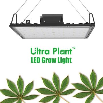 Lámparas de cultivo LED de espectro completo cuadradas de 150 W