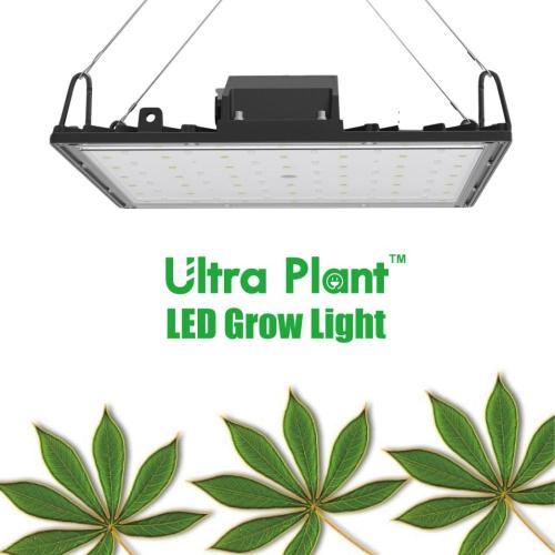 Đèn LED Grow đầy quang phổ 150W vuông