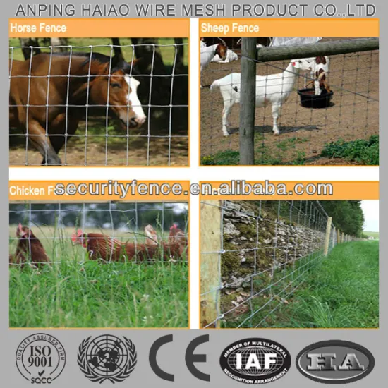 ISO9001 & CE Factory Professional Manufacture cattle fence/cattle mesh fence