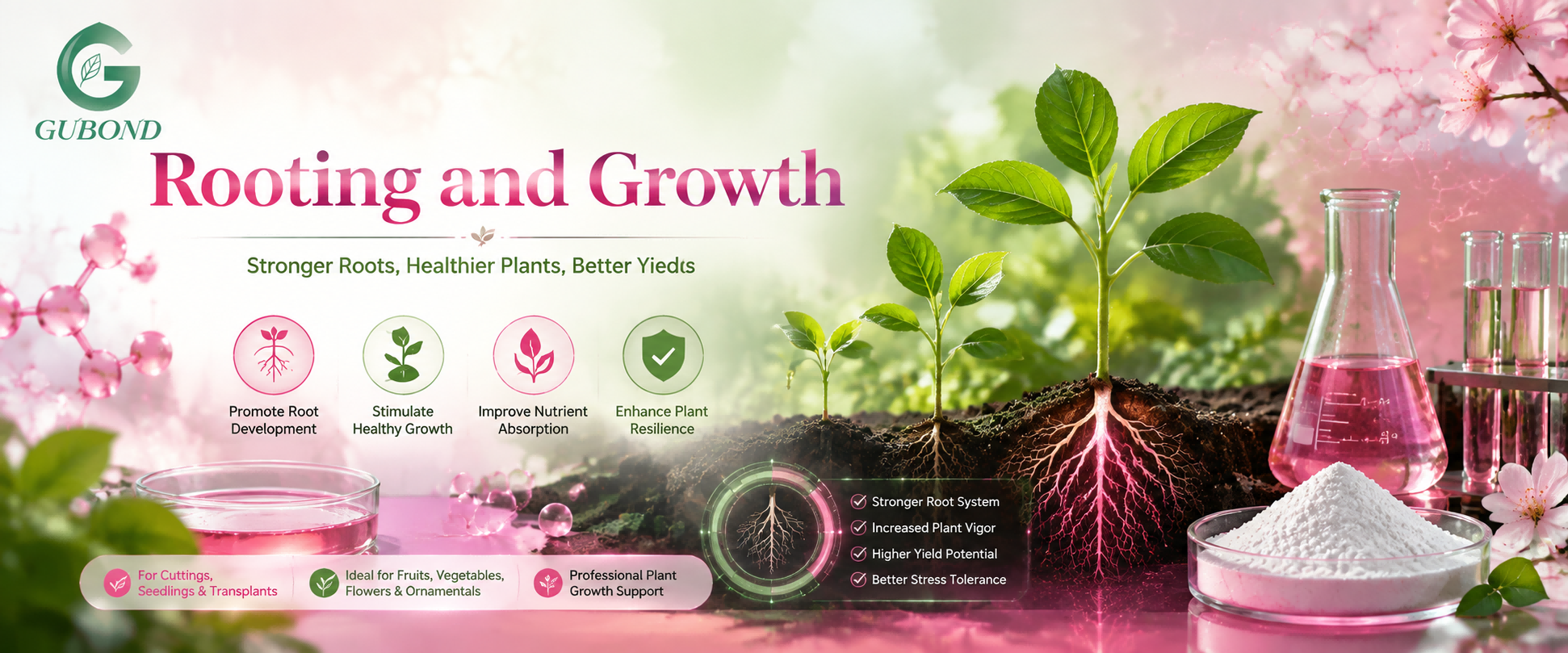 Rooting and growth