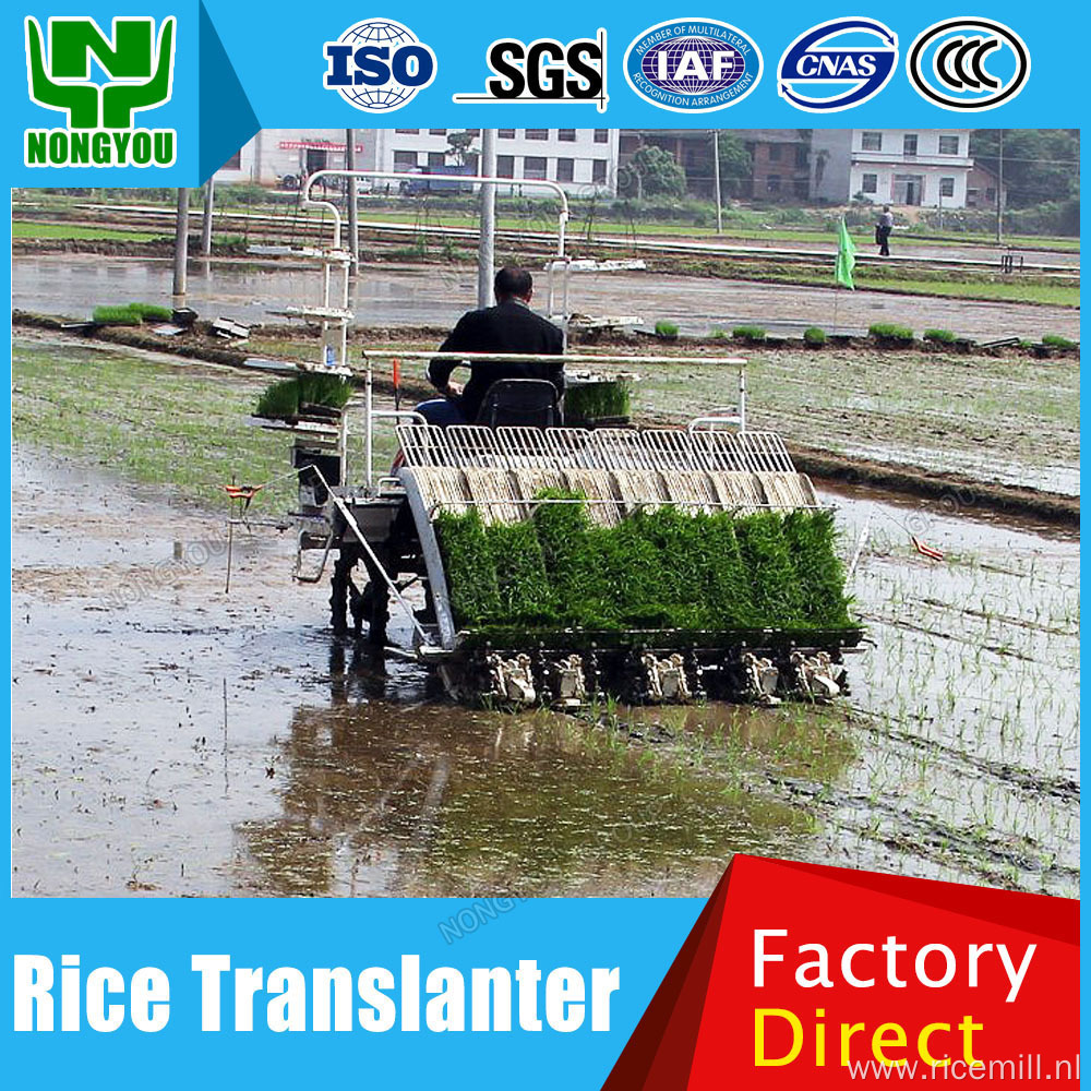 Rice Seedlings Paddy Transplanting Machine High Speed 2Z-6B2