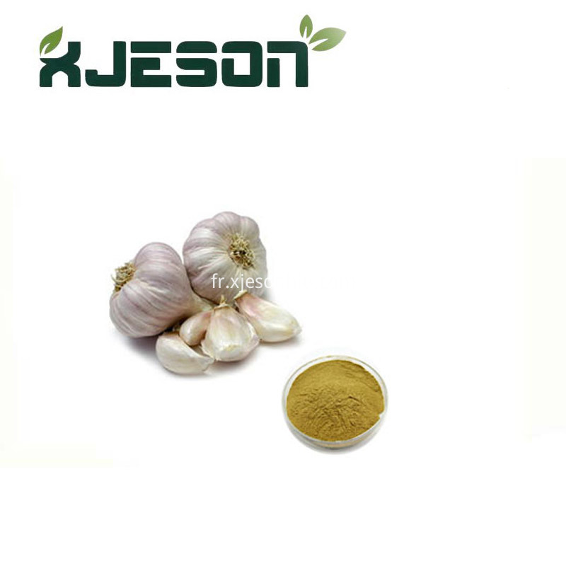 Garlic Extract Jpg