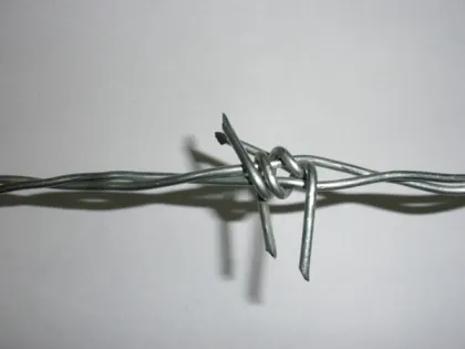 BWG14 Single Strand Barbed Iron Wire for Protection