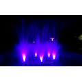 میوزک شو کے ساتھ باغ کی سجاوٹ ڈینڈیلین واٹر فاؤنٹین
