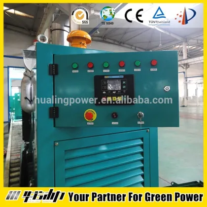 STEYR Natural Gas Generator