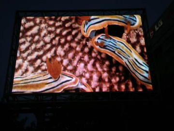 Outdoor Video LED Signage for Advertising P24