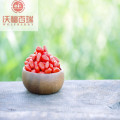 Wolfberry / Lycium Barbarum / Υγιές Goji Berry