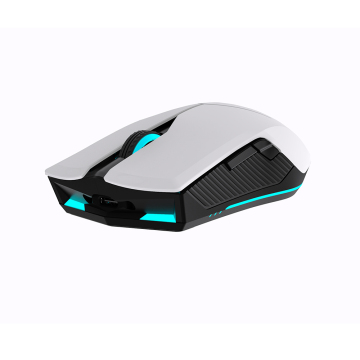HightSpeed ​​वायरलेस RGB माउस: 16000DPI एफपीएस गेमिंग माउस 1000 घंटे तक बैटरी जीवन के साथ