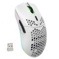 6D RGB Lighting Wireless Charging Mouse voor gaming