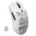 6D RGB Lighting Mouse Charging Wireless สำหรับการเล่นเกม