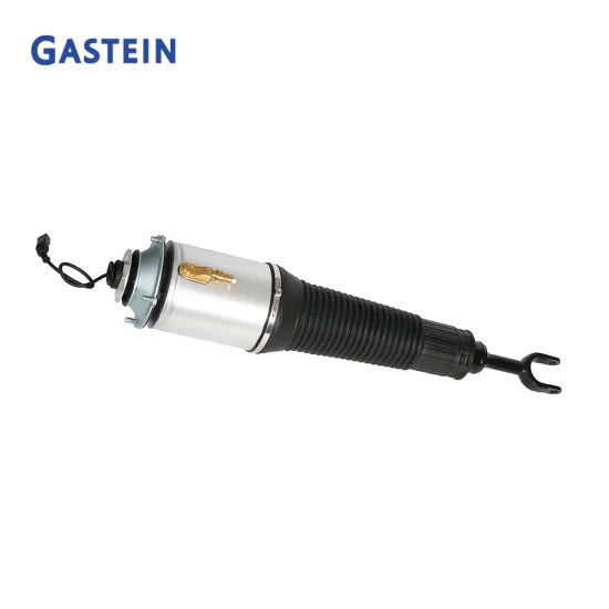 Custom Rubber Steel Aluminum 4E0616039Af 4E0616040Af Auto Suspension Struts System for Audi A8 D3