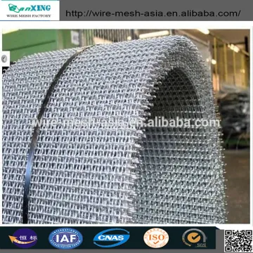 Professional Anping Factory Supply Black Steel / Galvanized Steel / Stainlesss Steel Crimped Sand Screen Mesh