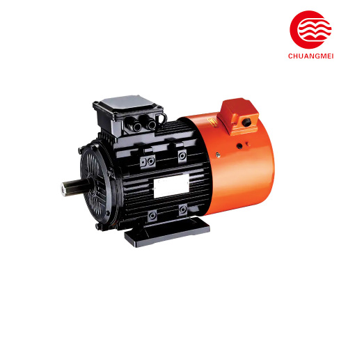 Güvenilir Yüksek Verimli Sabit Mıknatıslı Motor Tasarımı