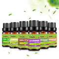 KIUNO 6pcs/8pcs Pure Essential Oil Gift Box Set Aroma Oil 10ML Essential Oils Kit Lavender Mint Lemongrass Tea Tree Frankincense