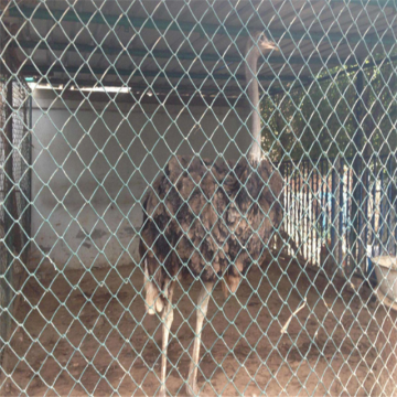 Rede de arame de ferro para cercas de metal para cercas de aves