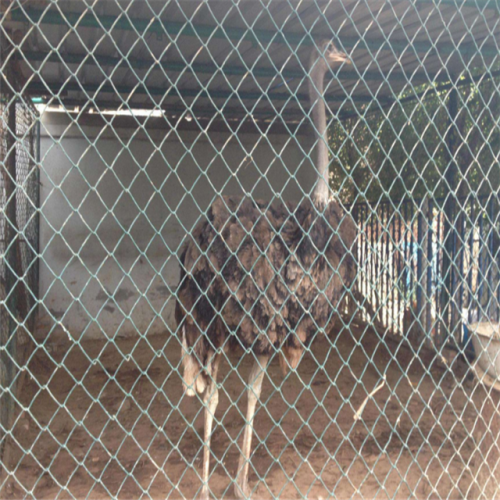 Rede de arame de ferro para cercas de metal para cercas de aves