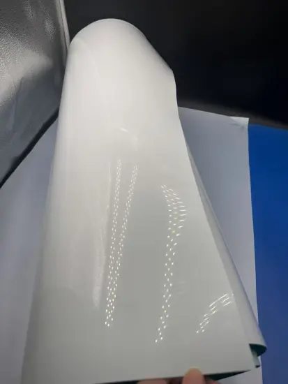 Unveiling the Versatility of Two-Color PP Film in Modern Packaging Solutions