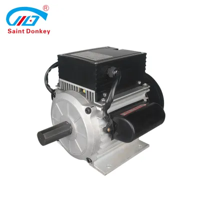 Saint Donkey Permanent Magnet Electric Motor Search