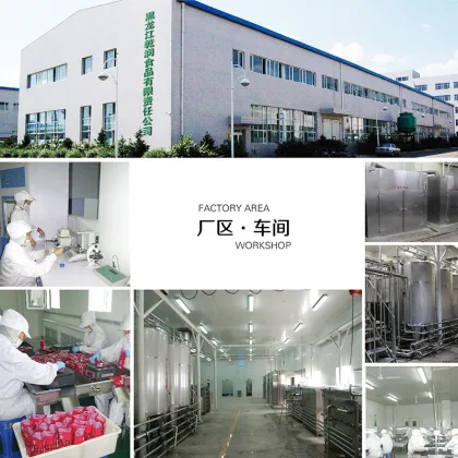 Sugar Dried Blueberries - No added cane sugar