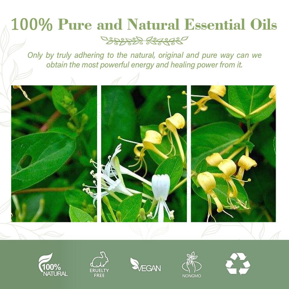 Honeysuckle Essential Oil For Beauty Flower Fragrance Skin Care