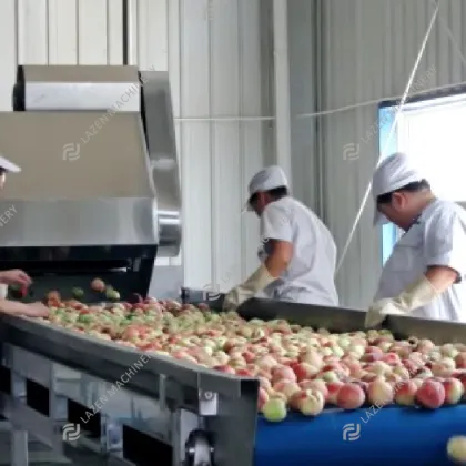 Turnkey Production Line for Peach, Apricot, and Plum Juice, Puree, Jam, and Concentrate