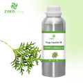 100% pur de matière orgne naturelle thuja huile essentielle en gros en vrac de haute qualité distiller extractif thuja huile raisonnable