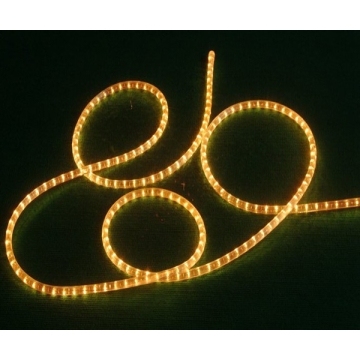 Shenzhen SMD5050 αδιάβροχο LED Γάζας φως